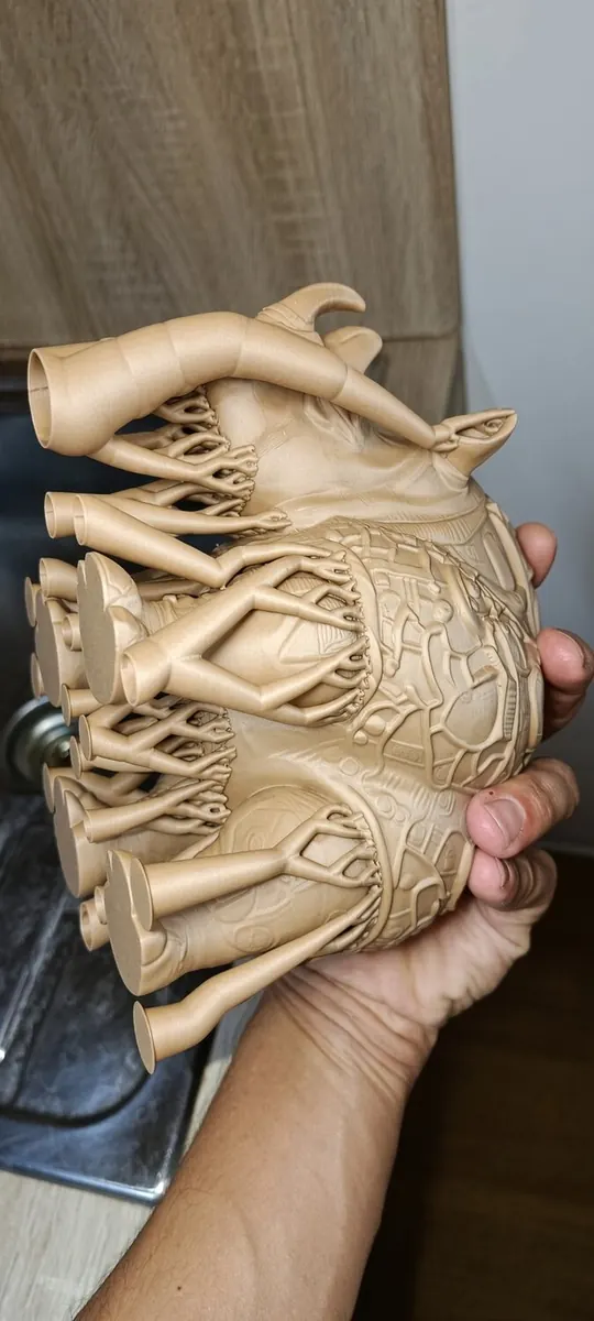 Cœur anatomique imprimé en 3D